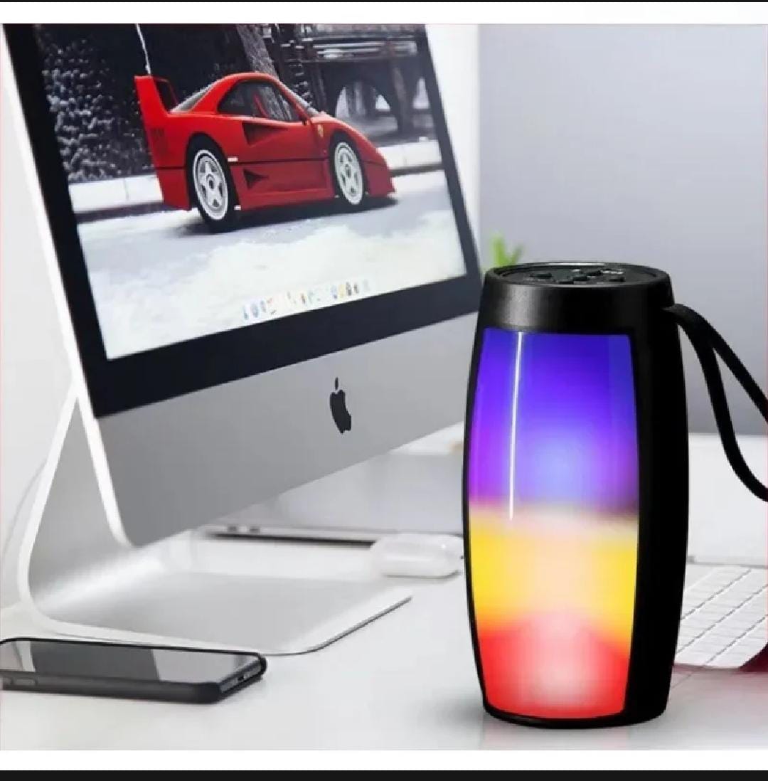 Portable Bluetooth Speaker
