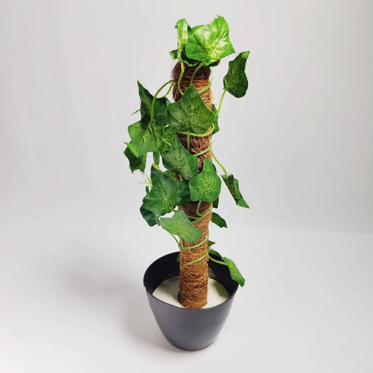Artificial Money Plant